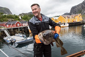 PECHEUR AVEC UNE GROSSE MORUE DE RETOUR DE LA PECHE, PORT DE NUSFJORD, FJORD DE VESTFJORD, ILES LOFOTEN, NORVEGE 
