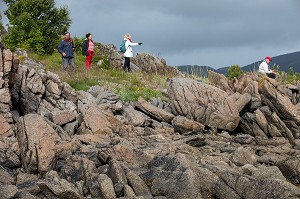 BALADE SUR LES HAUTEURS DE LA  BAIE DU VESTFJORD, GRADVAL, ILES LOFOTEN, NORVEGE 