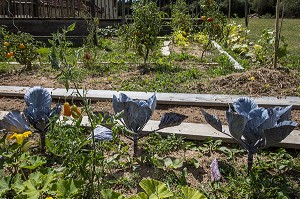 JARDIN POTAGER FAMILIAL, SAONE-ET-LOIRE (71), FRANCE 