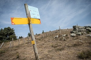 COL SAINT JOAN DE L'ALBERTA, L'ALBERE (64), FRANCE