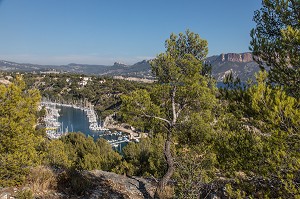 PORT DE PLAISANCE DANS LA CALANQUE DE PORT MIOU, CASSIS (13), FRANCE 