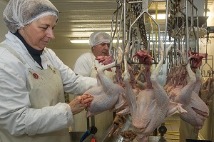 DECOUPE ET PREPARATION DES VOLAILLES, LABORATOIRE DE PREPARATION ET TRANSFORMATION DES POULETS, ELEVAGE DE VOLAILLES EN PLEIN AIR NOURRIES AUX CEREALES DE LA FERME, PRODUITS FERMIERS DE TERROIR, FERME DE GRANDVILLAIN, ORGERES-EN-BEAUCE (28), FRANCE 