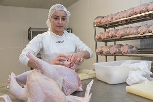 DECOUPE ET PREPARATION DES VOLAILLES, LABORATOIRE DE PREPARATION ET TRANSFORMATION DES POULETS, ELEVAGE DE VOLAILLES EN PLEIN AIR NOURRIES AUX CEREALES DE LA FERME, PRODUITS FERMIERS DE TERROIR, FERME DE GRANDVILLAIN, ORGERES-EN-BEAUCE (28), FRANCE 