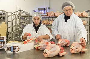 ETIQUETTAGE DES PRODUITS FERMIERS, LABORATOIRE DE PREPARATION ET TRANSFORMATION DES POULETS, ELEVAGE DE VOLAILLES EN PLEIN AIR NOURRIES AUX CEREALES DE LA FERME, PRODUITS DE TERROIR, FERME DE GRANDVILLAIN, ORGERES-EN-BEAUCE (28), FRANCE 