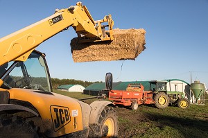 TRANSPORT DE PAILLE POUR LA LITIERE DES ANIMAUX, ELEVAGE DE VOLAILLES EN PLEIN AIR NOURRIES AUX CEREALES DE LA FERME, PRODUITS FERMIERS DE TERROIR, FERME DE GRANDVILLAIN, ORGERES-EN-BEAUCE (28), FRANCE 