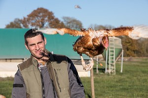 POULETS A L'HERBE SUR L'EXPLOITATION, ELEVAGE DE VOLAILLES EN PLEIN AIR NOURRIES AUX CEREALES DE LA FERME, PRODUITS FERMIERS DE TERROIR, FERME DE GRANDVILLAIN, ORGERES-EN-BEAUCE (28), FRANCE 