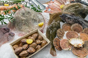 ETALAGE DE POISSON FRAIS ET COQUILLAGES (PALOURDES, COQUILLES-SAINT-JACQUES, CARRELET, COLIN, ROUGET, RAIE, BAR, DORADE), SALON DE L'AGRICULTURE, PORTE DE VERSAILLES, PARIS 
