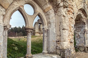 RUINES DE LA SALLE CAPITULAIRE, ABBAYE ROYALE CISTERCIENNE DE MORTEMER CONSTRUITE AU XII EME SIECLE PAR HENRI 1ER BEAUCLERC FILS DE GUILLAUME LE CONQUERANT POUR DES MOINES BENEDICTINS, LISORS (27), FRANCE 