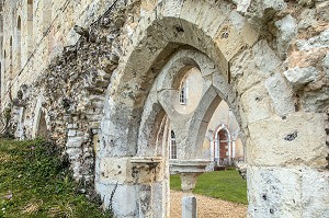 RUINES DE LA SALLE CAPITULAIRE, ABBAYE ROYALE CISTERCIENNE DE MORTEMER CONSTRUITE AU XII EME SIECLE PAR HENRI 1ER BEAUCLERC FILS DE GUILLAUME LE CONQUERANT POUR DES MOINES BENEDICTINS, LISORS (27), FRANCE 