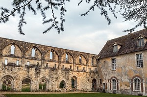 RUINES DE LA SALLE CAPITULAIRE ET ANCIEN DORTOIR DES MOINES A L'ETAGE, ABBAYE ROYALE CISTERCIENNE DE MORTEMER CONSTRUITE AU XII EME SIECLE PAR HENRI 1ER BEAUCLERC FILS DE GUILLAUME LE CONQUERANT POUR DES MOINES BENEDICTINS, LISORS (27), FRANCE 