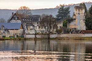 RUINES DE L'ANCIENNE EGLISE ABBATIALE, ABBAYE ROYALE CISTERCIENNE DE MORTEMER CONSTRUITE AU XII EME SIECLE PAR HENRI 1ER BEAUCLERC FILS DE GUILLAUME LE CONQUERANT POUR DES MOINES BENEDICTINS, LISORS (27), FRANCE 