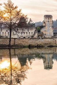 RUINES DE L'ANCIENNE EGLISE ABBATIALE, ABBAYE ROYALE CISTERCIENNE DE MORTEMER CONSTRUITE AU XII EME SIECLE PAR HENRI 1ER BEAUCLERC FILS DE GUILLAUME LE CONQUERANT POUR DES MOINES BENEDICTINS, LISORS (27), FRANCE 