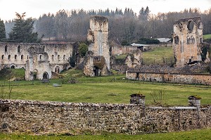 RUINES DE L'ANCIENNE EGLISE ABBATIALE, ABBAYE ROYALE CISTERCIENNE DE MORTEMER CONSTRUITE AU XII EME SIECLE PAR HENRI 1ER BEAUCLERC FILS DE GUILLAUME LE CONQUERANT POUR DES MOINES BENEDICTINS, LISORS (27), FRANCE 