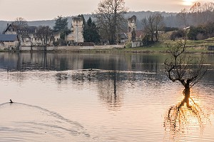 RUINES DE L'ABBAYE ROYALE CISTERCIENNE DE MORTEMER CONSTRUITE AU XII EME SIECLE PAR HENRI 1ER BEAUCLERC FILS DE GUILLAUME LE CONQUERANT POUR DES MOINES BENEDICTINS, LISORS (27), FRANCE 