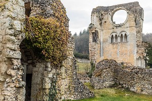 RUINES DE L'ANCIENNE EGLISE ABBATIALE, ABBAYE ROYALE CISTERCIENNE DE MORTEMER CONSTRUITE AU XII EME SIECLE PAR HENRI 1ER BEAUCLERC FILS DE GUILLAUME LE CONQUERANT POUR DES MOINES BENEDICTINS, LISORS (27), FRANCE 