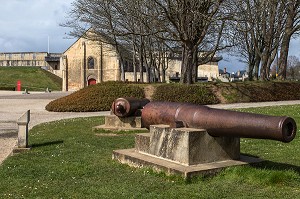 LES CANONS DEVANT LA SALLE DE L'ECHIQUIER, CHATEAU DE CAEN CONSTRUIT VERS 1060 (XI EME SIECLE) PAR GUILLAUME LE CONQUERANT, RESIDENCE DES DUCS DE NORMANDIE, CAEN (14), FRANCE 