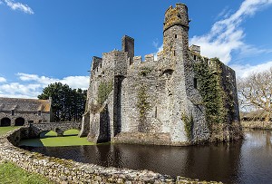 LES DOUVES DU CHATEAU DE PIROU DU XII EME SIECLE (50), FRANCE 