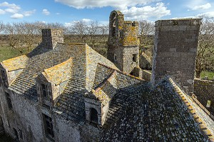 LES TOITS EN PIERRE DU CHATEAU DE PIROU DU XII EME SIECLE (50), FRANCE 