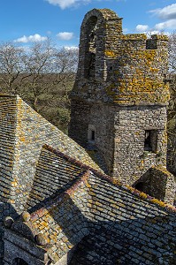 LE DONJON DU CHATEAU DE PIROU DU XII EME SIECLE (50), FRANCE 