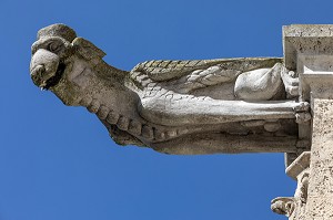 DETAIL D'UNE GARGOUILLE, EGLISE SAINT-PIERRE SUR LA PLACE METEZEAU, VILLE DE DREUX, EURE-ET-LOIR (28), FRANCE 