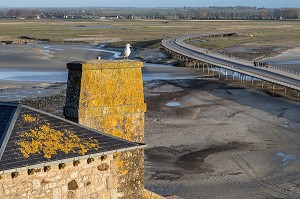 LA DIGUE ET LA BAIE DU MONT-SAINT-MICHEL (50), FRANCE 