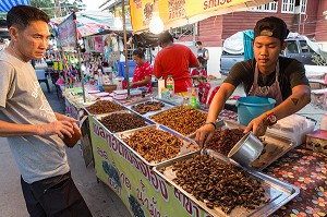 ETALAGE D'INSECTES GRILLES (VERS A SOIE, SAUTERELLE, GRILLONS, CIGALES), MARCHE DE NUIT, BANG SAPHAN, PROVINCE DE PRACHUAP KHIRI KHAN, THAILANDE 