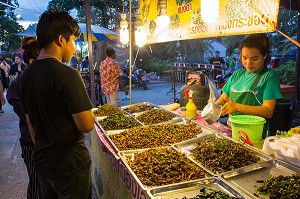 ETALAGE D'INSECTES GRILLES (VERS A SOIE, SAUTERELLE, GRILLONS, CIGALES), MARCHE DE NUIT, BANG SAPHAN, PROVINCE DE PRACHUAP KHIRI KHAN, THAILANDE 