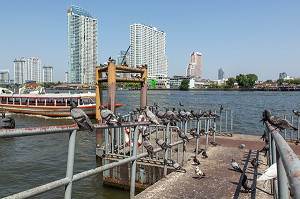 TERMINAL DE FERRY, VUE PANORAMIQUE DES BUILDINGS ET GRATTE-CIELS DE LA VILLE DE BANGKOK, SUR LES RIVES DE LA RIVIERE CHAO PHRAYA, THAILANDE, ASIE 