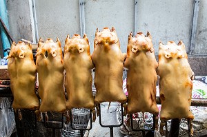 COCHONS BLANCS GRILLES SUR BROCHES, SPECIALITE THAILANDAISE, SCENE DE RUE, VILLE DE BANGKOK, THAILANDE 