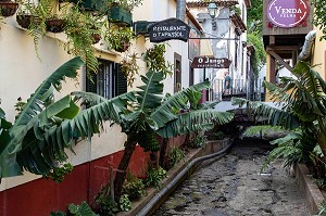 PASSAGE POUR L'EVACUATION DES EAUX DE PLUIE, RUA DON CARLOS I, SCENE DE RUE, FUNCHAL, ILE DE MADERE, PORTUGAL 