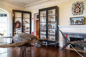 MUSEE D'HISTOIRE NATURELLE, JARDIN BOTANIQUE DE MADEIRA, FUNCHAL, ILE DE MADERE, PORTUGAL 