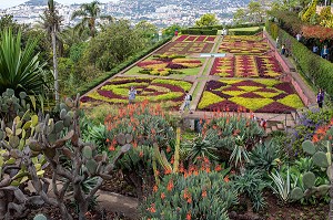 PARTERRE DE FLEURS, FORMES GEOMETRIQUES, JARDIN BOTANIQUE DE MADEIRA, FUNCHAL, ILE DE MADERE, PORTUGAL 