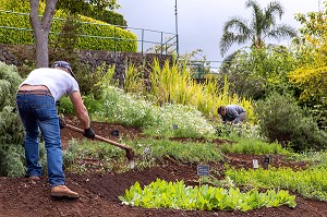 JARDINIER, JARDIN BOTANIQUE DE MADEIRA, FUNCHAL, ILE DE MADERE, PORTUGAL 