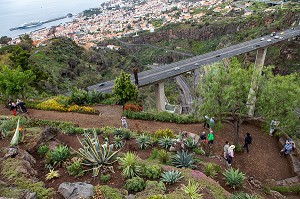 VUE AERIENNE, JARDIN BOTANIQUE DE MADEIRA, FUNCHAL, ILE DE MADERE, PORTUGAL 