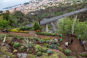 VUE AERIENNE, JARDIN BOTANIQUE DE MADEIRA, FUNCHAL, ILE DE MADERE, PORTUGAL 