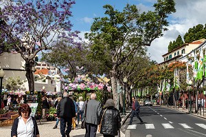 MARCHE AUX FLEURS, AV ARRIAGA, SCENE DE RUE, FUNCHAL, ILE DE MADERE, PORTUGAL 