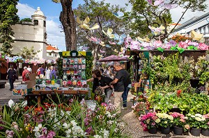 MARCHE AUX FLEURS, AV ARRIAGA, SCENE DE RUE, FUNCHAL, ILE DE MADERE, PORTUGAL 