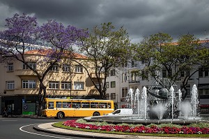 FONTAINE A JET D'EAU, ROND POINT, FUNCHAL, ILE DE MADERE, PORTUGAL 