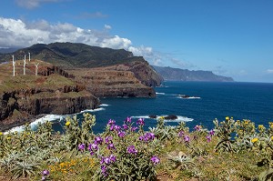 PONTA DO ROSTO SUR LE CHEMIN DE PONTA DE SAO LOURENCO, CANICAL, ILE DE MADERE, PORTUGAL 