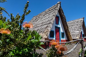 MAISONS TRADITIONNELLES AUX TOITS DE CHAUME, CASAS DE SANTANA, ILE DE MADERE, PORTUGAL 