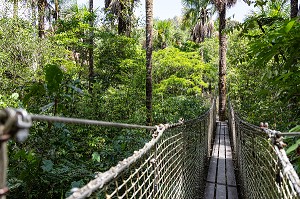 PONT SUSPENDU DANS LA FORET PRIMAIRE, ZOO DE GUYANE, MACOURIA, GUYANE FRANCAISE, DEPARTEMENT-REGION D'OUTRE-MER, AMERIQUE DU SUD, FRANCE 