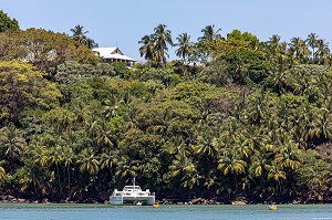 CATAMARAN DEVANT L'ILE ROYALE, ILE DU SALUT, KOUROU, GUYANE FRANCAISE, DEPARTEMENT-REGION D'OUTRE-MER, AMERIQUE DU SUD, FRANCE 