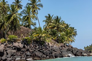 ILE ROYALE, ILE DU SALUT, KOUROU, GUYANE FRANCAISE, DEPARTEMENT-REGION D'OUTRE-MER, AMERIQUE DU SUD, FRANCE 