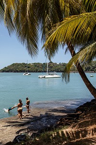 PLAGE ET PALMIERS DE L'ILE SAINT-JOSEPH ABRITANT L'ANCIEN BAGNE, ILE DU SALUT, KOUROU, GUYANE FRANCAISE, DEPARTEMENT-REGION D'OUTRE-MER, AMERIQUE DU SUD, FRANCE 