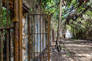 VESTIGES ABANDONNES DE L'ANCIEN BAGNE DE L'ILE SAINT-JOSEPH, ILE DU SALUT, KOUROU, GUYANE FRANCAISE, DEPARTEMENT-REGION D'OUTRE-MER, AMERIQUE DU SUD, FRANCE 