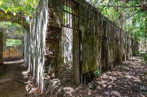 CELLULES DES PRISONNIERS, VESTIGES ABANDONNES DE L'ANCIEN BAGNE DE L'ILE SAINT-JOSEPH, ILE DU SALUT, KOUROU, GUYANE FRANCAISE, DEPARTEMENT-REGION D'OUTRE-MER, AMERIQUE DU SUD, FRANCE 