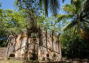 VESTIGES ABANDONNES DE L'ANCIEN BAGNE DE L'ILE SAINT-JOSEPH, ILE DU SALUT, KOUROU, GUYANE FRANCAISE, DEPARTEMENT-REGION D'OUTRE-MER, AMERIQUE DU SUD, FRANCE 