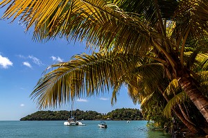 CATAMARAN DEVANT L'ILE SAINT-JOSEPH ET L'ILE ROYALE, ILE DU SALUT, KOUROU, GUYANE FRANCAISE, DEPARTEMENT-REGION D'OUTRE-MER, AMERIQUE DU SUD, FRANCE 