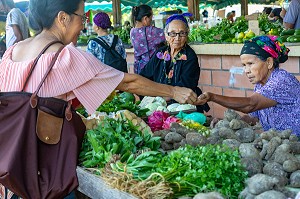 MARCHE HMONG (PEUPLE VENU D'ASIE), LES VIELLES FEMMES TIENNENT LES ETALS DE FRUITS ET LEGUMES, VILLAGE DE CACAO, GUYANE FRANCAISE, DEPARTEMENT-REGION D'OUTRE-MER, AMERIQUE DU SUD, FRANCE 