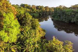 LA RIVIERE KOUROU AU MILIEU DE LA CANOPEE DE LA FORET AMAZONIENNE, GUYANE FRANCAISE, DEPARTEMENT-REGION D'OUTRE-MER, AMERIQUE DU SUD, FRANCE 